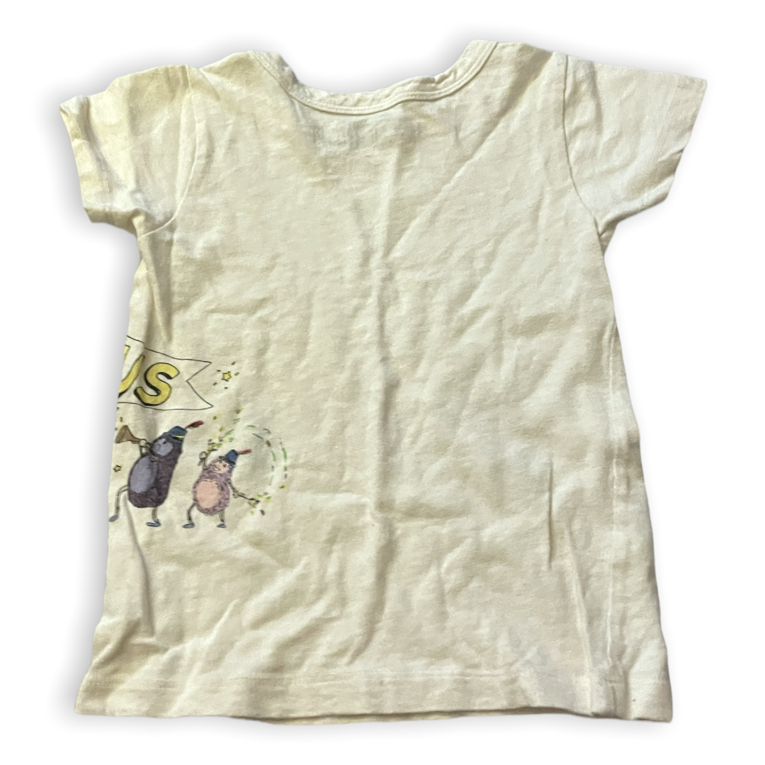CrewCuts | Size 2Y